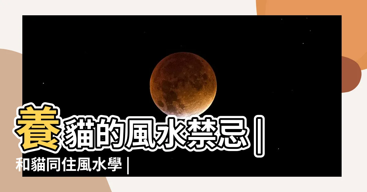 【養兩隻貓風水】養貓的風水禁忌 |和貓同住風水學 |養貓需要注意哪些事情 |