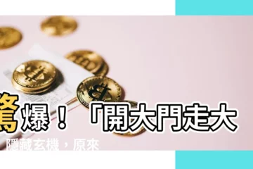 【開大門走大路意思】驚爆！「開大門走大路」隱藏玄機，原來是這個意思！
