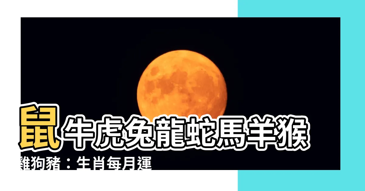 【生肖每月運程】鼠牛虎兔龍蛇馬羊猴雞狗豬：生肖每月運程速覽