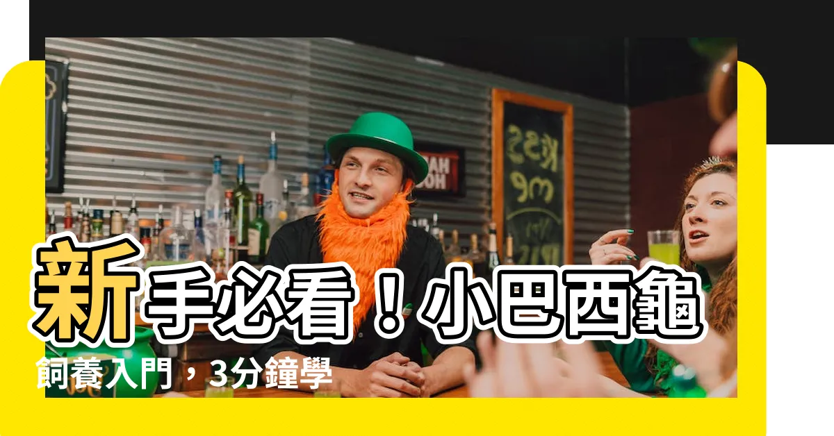 【小巴西龜】新手必看！小巴西龜飼養入門，3分鐘學會照顧牠們