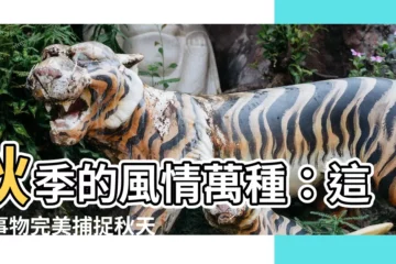 【秋天代表物】秋季的風情萬種：這些事物完美捕捉秋天的精髓