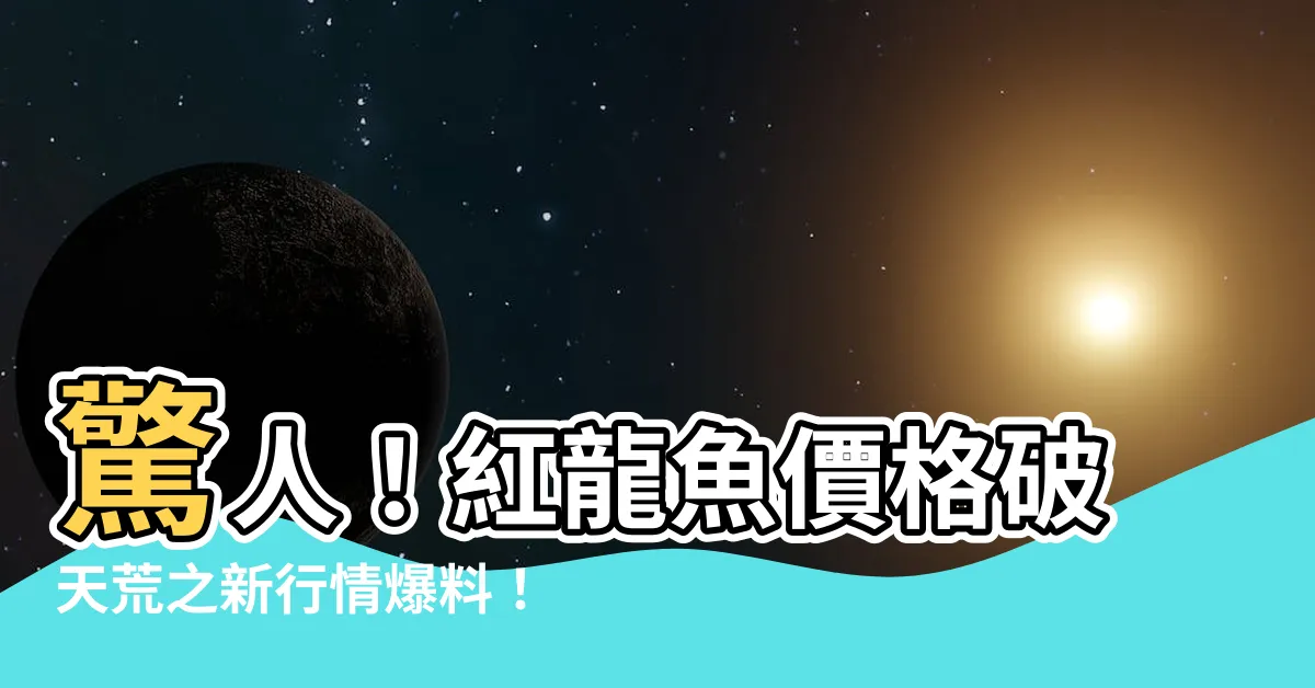 【紅龍魚 價格】驚人！紅龍魚價格破天荒之新行情爆料！