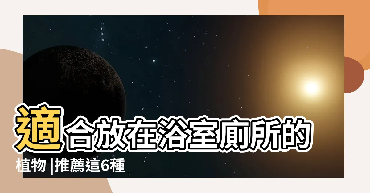 【適合放在廁所的植物】適合放在浴室廁所的植物 |推薦這6種 |浴室植物 |