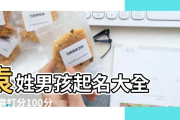 【性袁100分男孩子的名字】袁姓男孩起名大全 |姓袁打分100分的名字大全寓意吉祥的寶寶好名 |袁姓100分男孩名字漂亮有涵養 |