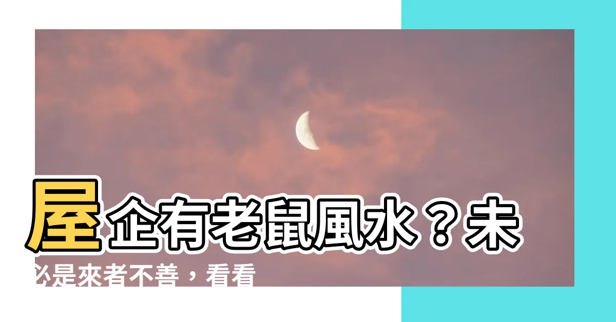 【屋企有老鼠風水】屋企有老鼠風水？未必是來者不善，看看這幾個預兆！