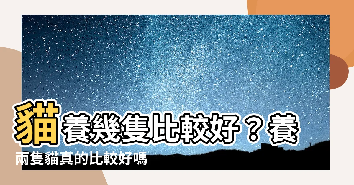 【貓養幾隻比較好】貓養幾隻比較好？養兩隻貓真的比較好嗎？