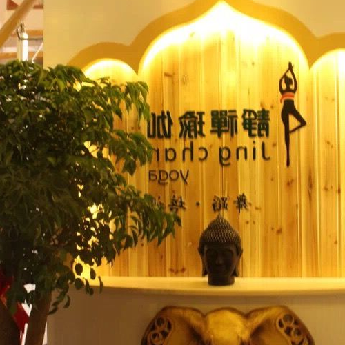 4、什麼是靜態瑜伽和動態瑜伽?兩者有什麼區別和聯繫? _?