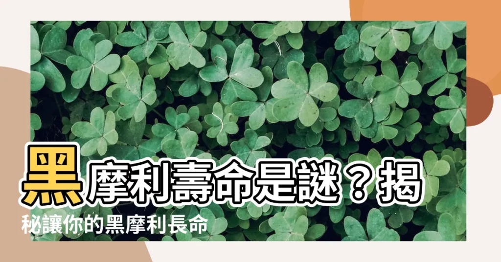【黑摩利壽命】黑摩利壽命是謎?揭秘讓你的黑摩利長命百歲的秘訣