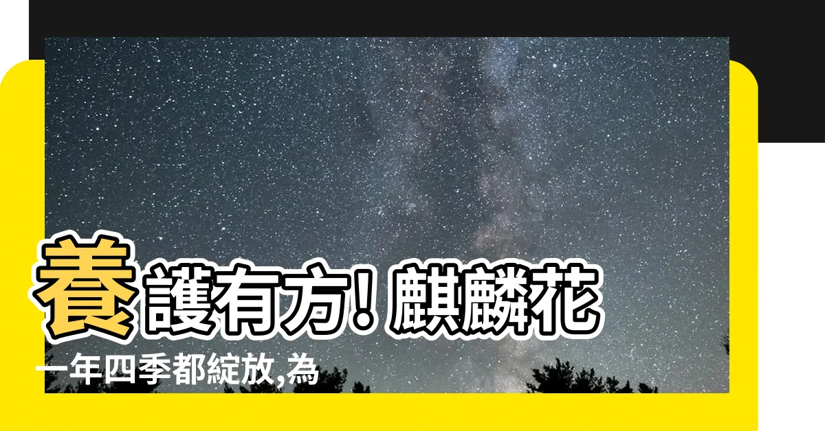 【麒麟花 風水】養護有方! 麒麟花一年四季都綻放,為家運招財納福