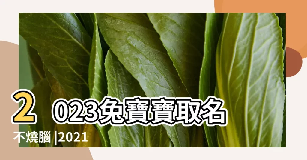 2023兔寶寶取名不燒腦 |2021新生兒爆款名字出爐 |以及取名的禁忌 |【和郅有關的寶寶名字】