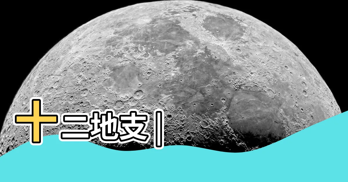 【甲乙丙丁茂】十二地支 |
