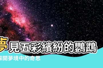 【夢見彩色鸚鵡】夢見五彩繽紛的鸚鵡：解開夢境中的奇思妙想