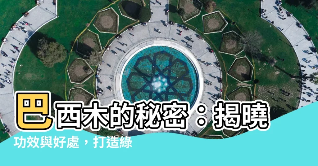 【巴西木功效】巴西木的秘密：揭曉功效與好處，打造綠意盎然的居家環境