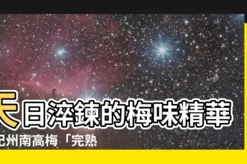 【天日幹】天日淬鍊的梅味精華，紀州南高梅「完熟天日幹」等你品嚐！