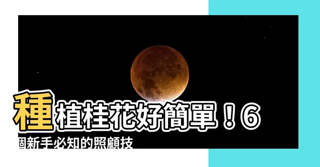 【桂花好種嗎】種植桂花好簡單！6個新手必知的照顧技巧，輕鬆享受桂花香