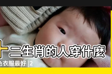 【2017年屬虎戴什麼顏色】十二生肖的人穿什麼顏色衣服最好 |2017屬虎的幸運顏色有哪些 |屬虎2017年幸運顏色 |
