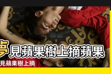【夢到自己在樹上摘蘋果】夢見蘋果樹上摘蘋果 |夢見蘋果樹上摘蘋果 |夢見從蘋果樹上摘蘋果有什麼徵兆 |