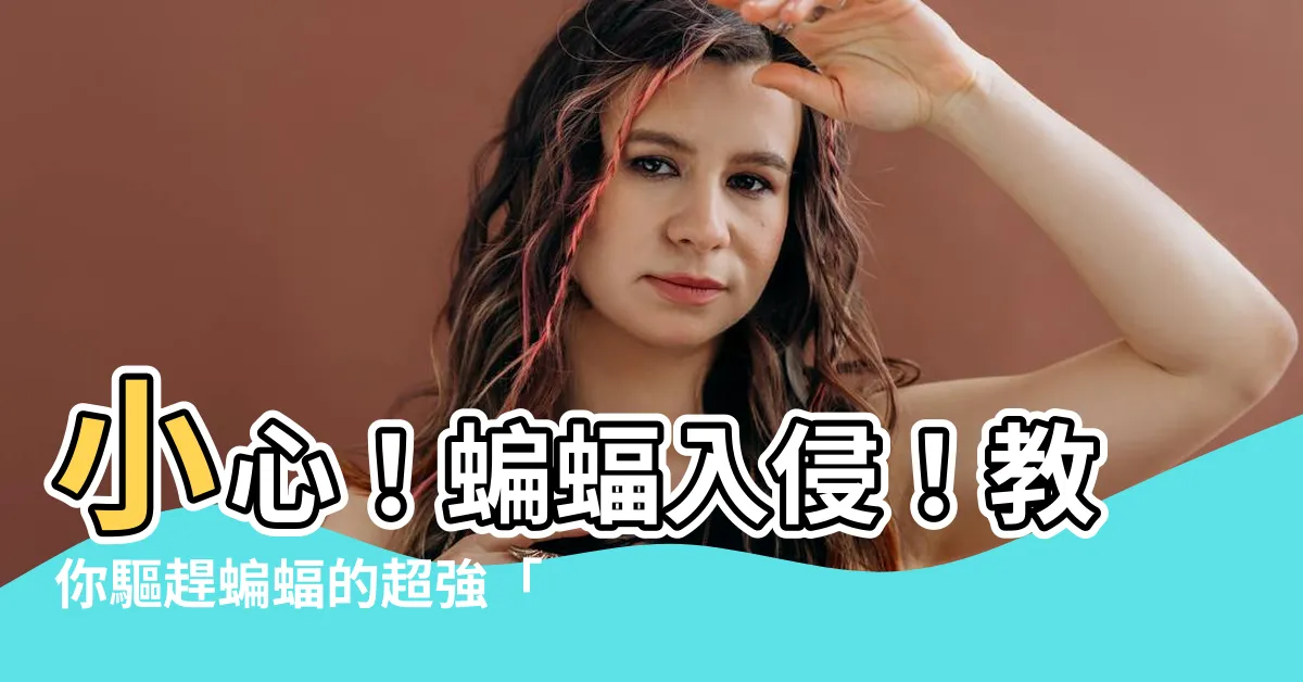 【驅趕蝙蝠的聲音】小心！蝙蝠入侵！教你驅趕蝙蝠的超強「聲音」武器