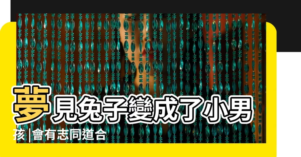 夢見兔子變成了小男孩 |會有志同道合者出現 |夢見兔子變成人 |【夢見兔子變成了人】
