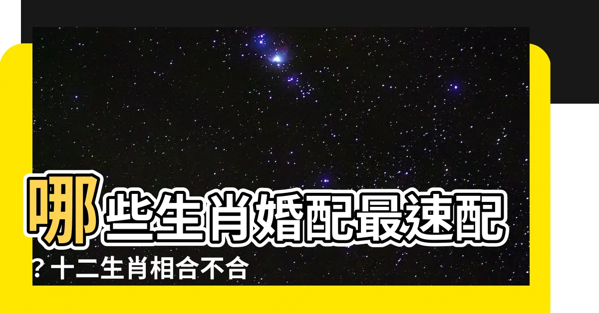 【生肖合不合】哪些生肖婚配最速配？十二生肖相合不合大解析！