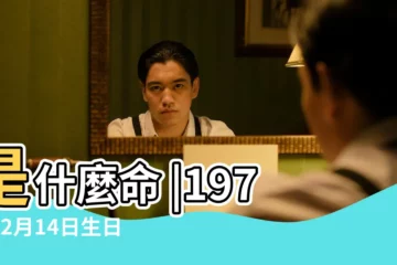 【1974年2月14日生人命運】是什麼命 |1974年2月14日生日看命運 |1974年2月14日出生日期看命運 |