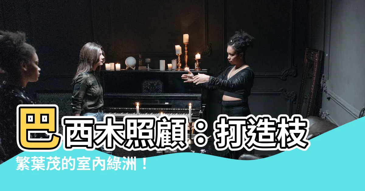 【巴西木照顧】巴西木照顧：打造枝繁葉茂的室內綠洲！
