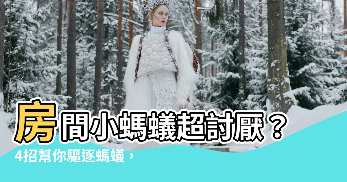 【房間小螞蟻】房間小螞蟻超討厭？4招幫你驅逐螞蟻，讓它不敢再進來！