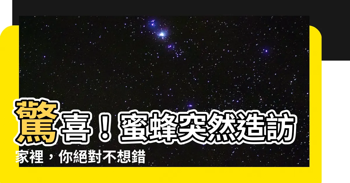 【蜜蜂來家裡】驚喜！蜜蜂突然造訪家裡，你絕對不想錯過的好運之兆