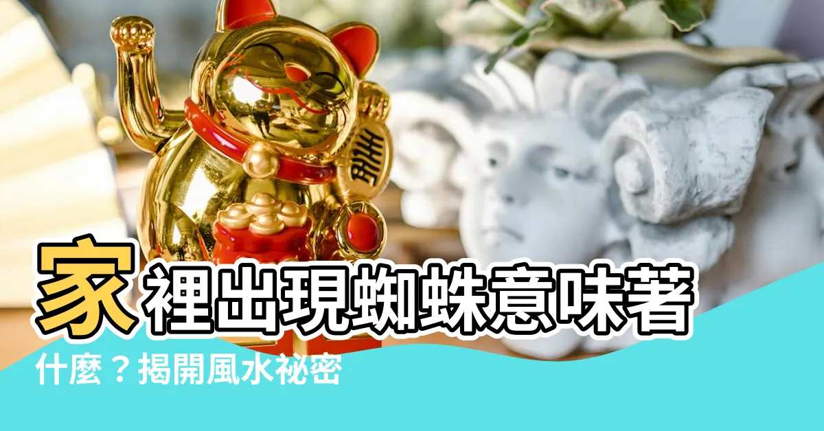 【家裡有蜘蛛代表什麼】家裡出現蜘蛛意味著什麼？揭開風水秘密，點燃好運!