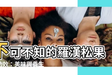 【羅漢松果實功效】不可不知的羅漢松果實功效：美味與養生的完美結合