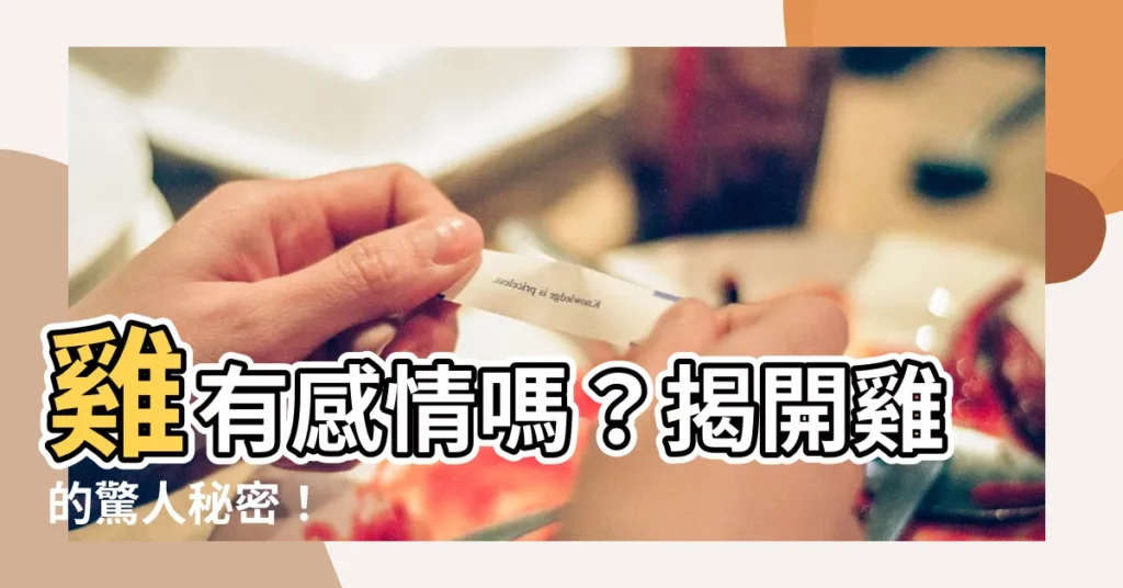 【雞有感情嗎】雞有感情嗎?揭開雞的驚人秘密!