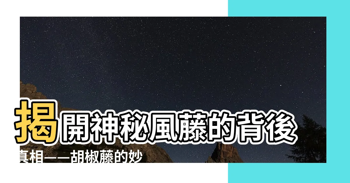 【胡椒藤】揭開神秘風藤的背後真相——胡椒藤的妙用！
