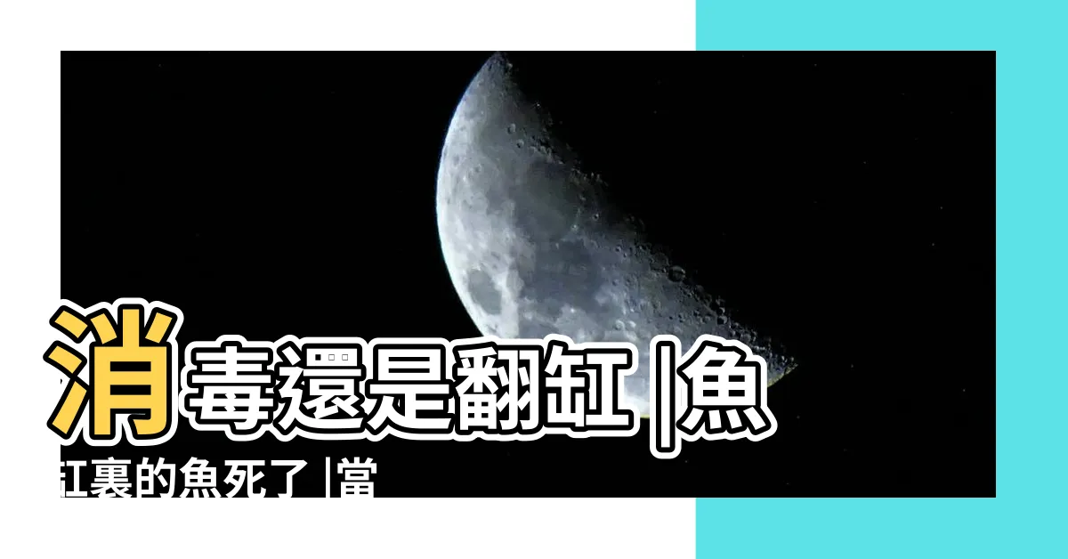 【魚缸魚死掉】消毒還是翻缸 |魚缸裏的魚死了 |當魚缸裏死了一條魚 |