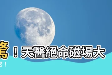 【天醫絕命】驚！天醫絕命磁場大解密！