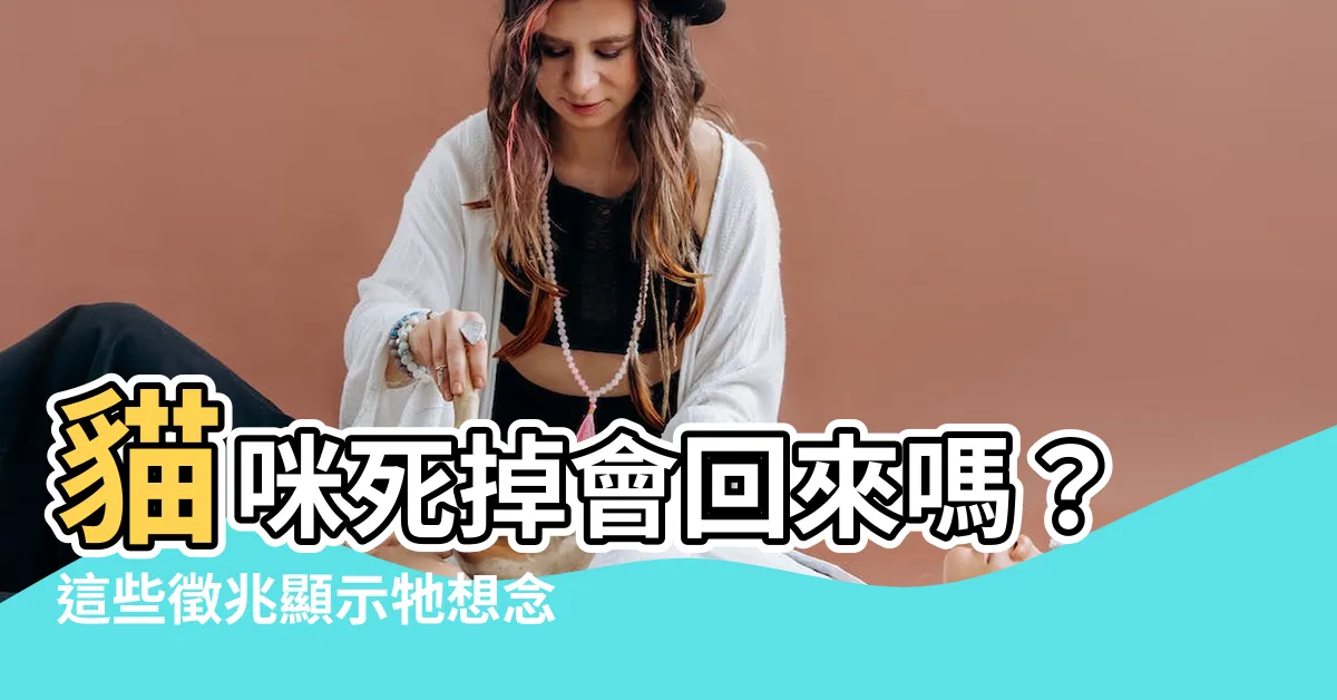 【貓咪死掉會回來嗎】貓咪死掉會回來嗎?這些徵兆顯示牠想念你!