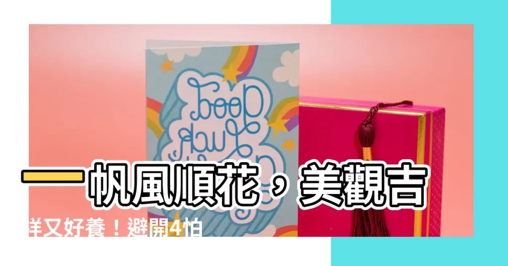 【一帆風順花】一帆風順花，美觀吉祥又好養！避開4怕，花開不斷，一帆風順！