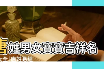 【唐姓含王字四個字取名】唐姓男女寶寶吉祥名字大全 |唐姓易經起名 |本市户籍人口在用姓氏1705個 |