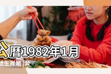 【1982年屬什麼雞】公曆1982年1月31號生肖屬 |公曆出生的人是屬雞還是屬狗 |1982年1月12日到底屬狗還是屬雞 |