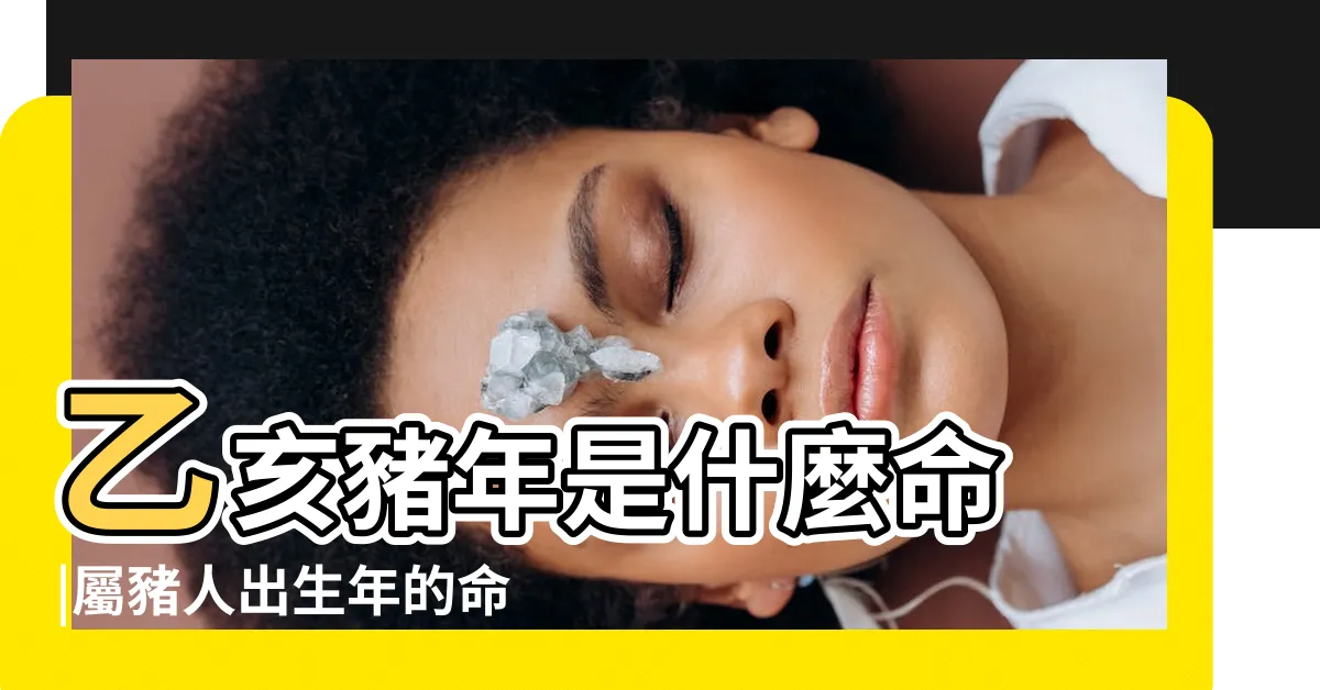 【乙亥年豬】乙亥豬年是什麼命 |屬豬人出生年的命運 |