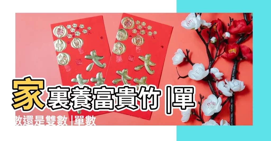 家裏養富貴竹 |單數還是雙數 |單數還是雙數 |【風水富貴竹一般養幾枝】