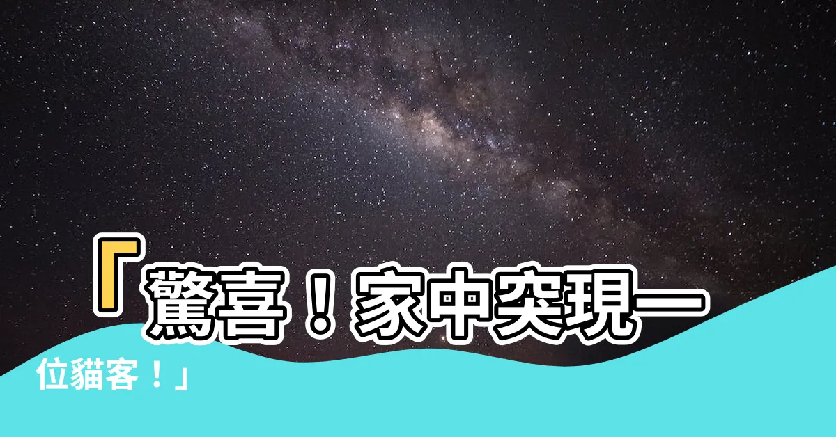 【家裡來了一隻貓】「驚喜！家中突現一位貓客！」