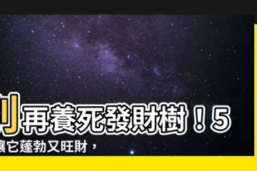 【發財樹 風水】別再養死發財樹！5招讓它蓬勃又旺財，3處擺放招財又化煞