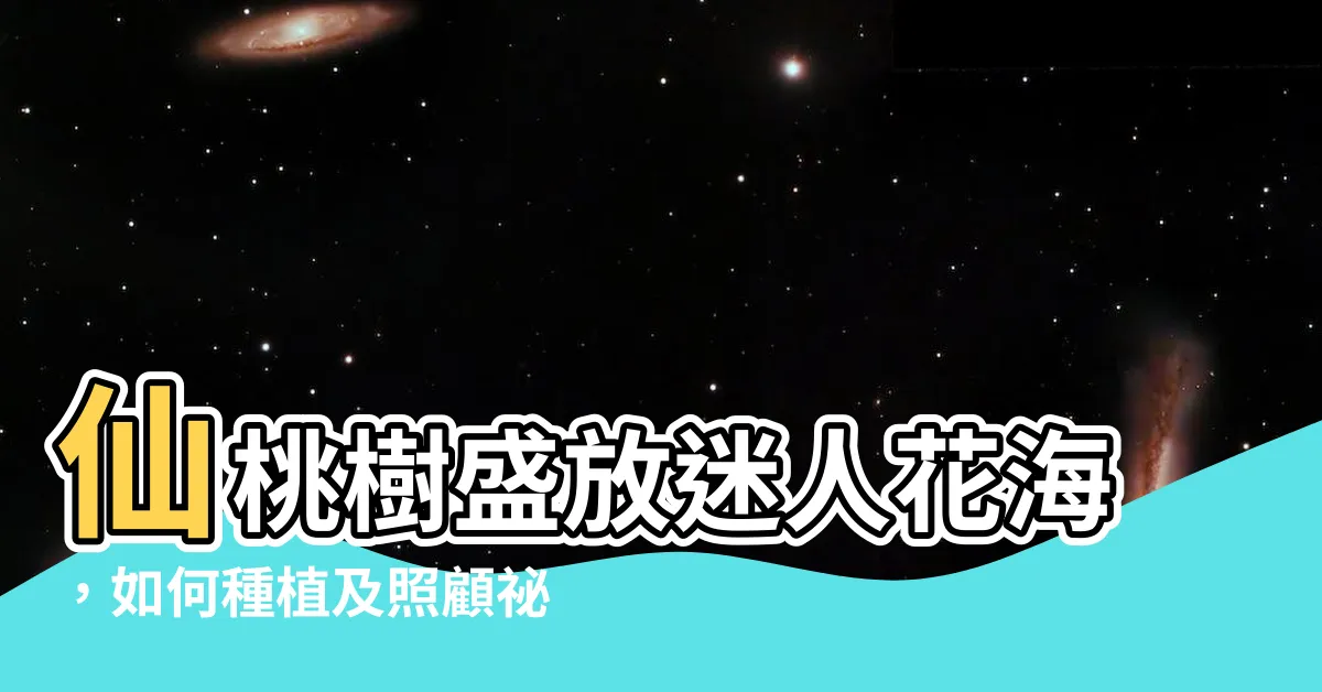 【仙桃樹開花】仙桃樹盛放迷人花海，如何種植及照顧秘訣