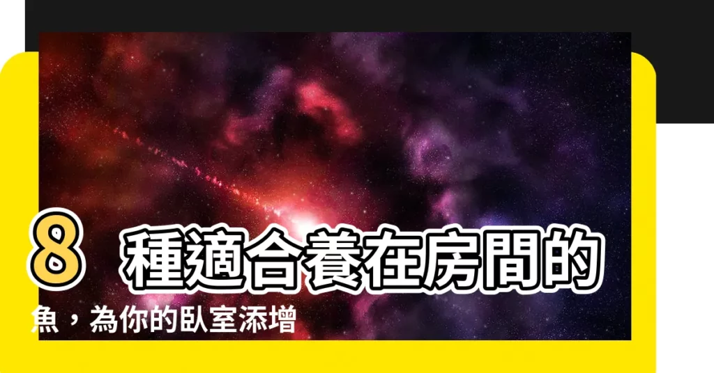 【適合養在房間的魚】8種適合養在房間的魚，為你的卧室添增一份療癒氣息