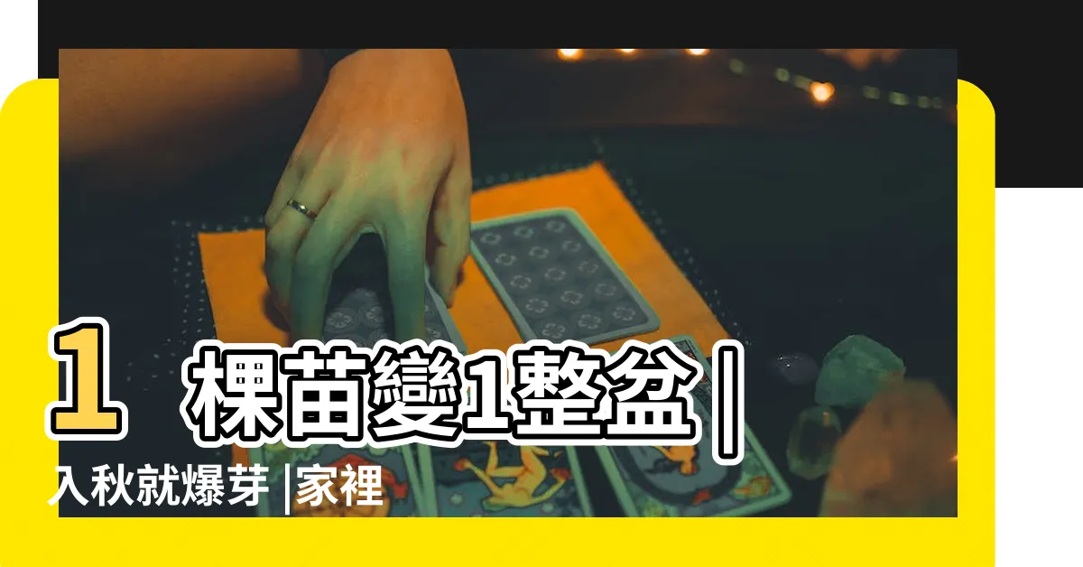【虎皮蘭開花風水】1棵苗變1整盆 |入秋就爆芽 |家裡為何不能養虎皮蘭 |