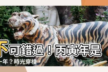 【丙寅年是哪一年】不可錯過！丙寅年是哪一年？時光穿梭，帶你瞭解歷史洪流