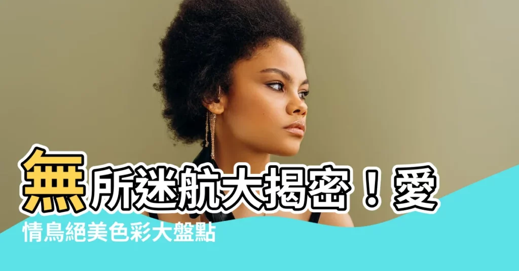 【愛情鳥 顏色】無所迷航大揭密！愛情鳥絕美色彩大盤點
