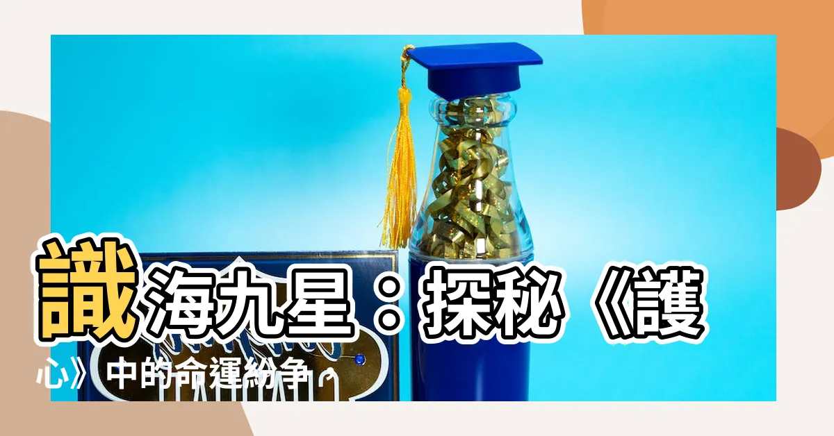 【識海九星是什麼】識海九星：探秘《護心》中的命運紛爭，你知道這九大星辰嗎？
