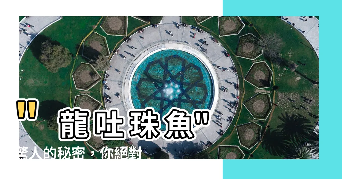 【龍 吐 珠 魚】"龍 吐 珠 魚"驚人的秘密，你絕對不知道的事實曝光！