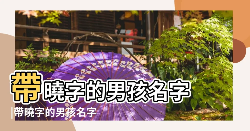 帶曉字的男孩名字 |帶曉字的男孩名字大全 |帶曉字的男孩名字 |【名字大全男孩曉】